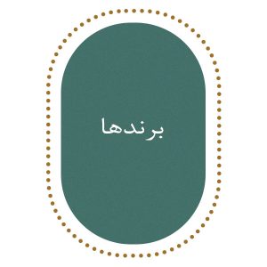 سالن سنتریک؛ پخش عمده رنگ مو و محصولات سالنی از معتبرترین برندها